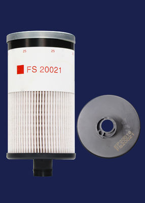 Elemento filtrante primario diesel del equipo industrial FS20021 EP20019